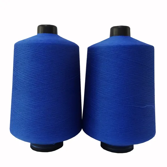 70/24/2 Nylon 6 Twist Hank Dyed Yarn High Elastic Yarn for Socks 